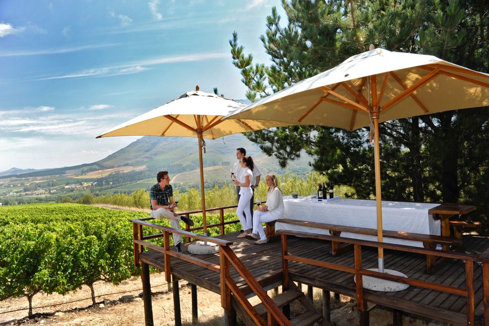Zuid Afrika Activiteiten Stellenbosch Wine tasting.jpg - Jambo Safari Club