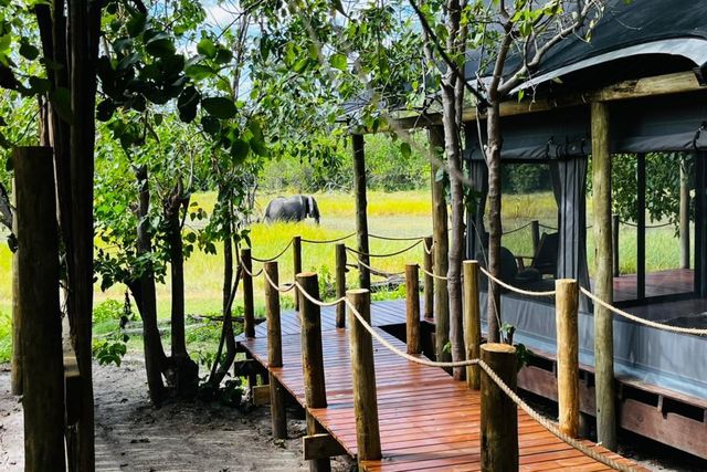 Khwai Expeditions Camp