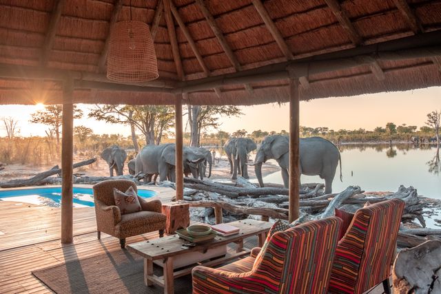 Elephant Pan Tented Camp