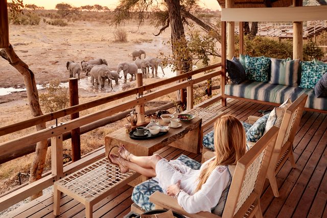 Savute Elephant Lodge