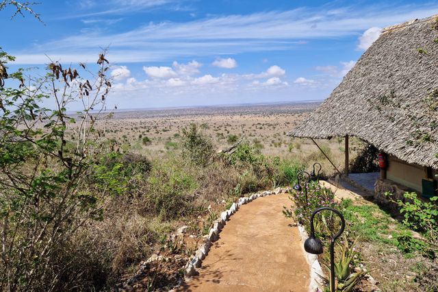 Soroi Cheetah Tented Camp