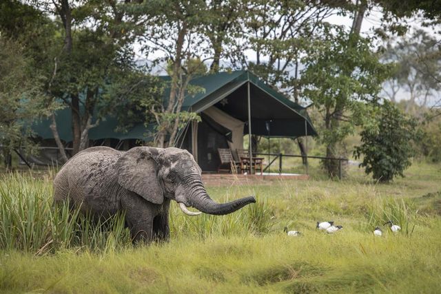 Little Governor's Camp