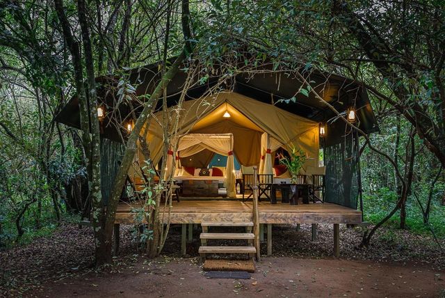 Soroi Mara Bush Camp