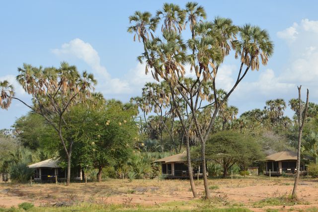 Ashnil Samburu Camp