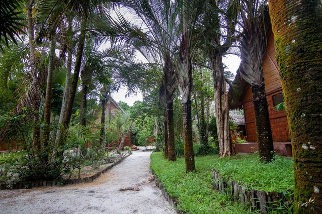 Palmarium Hotel