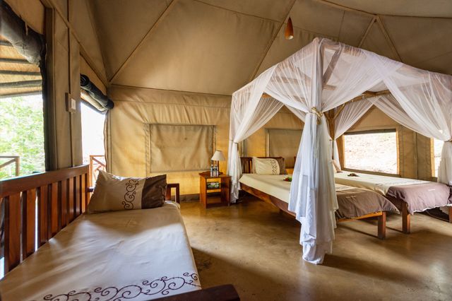 Malawi Lake Malawi Blue Zebra Island Lodge Lake Safari Tent interior WE 1.jpg - Jambo Safari Club