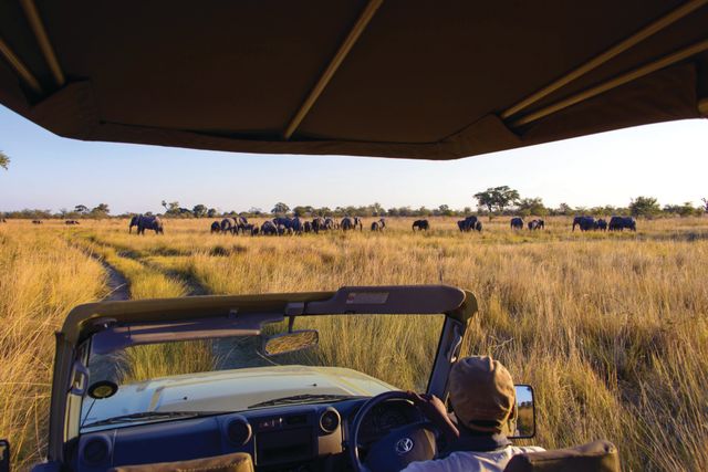 Namibie Caprivi Zambezi regio Namushasha River Lodge activiteit gamedrive olifanten 1.jpg - Jambo Safari Club