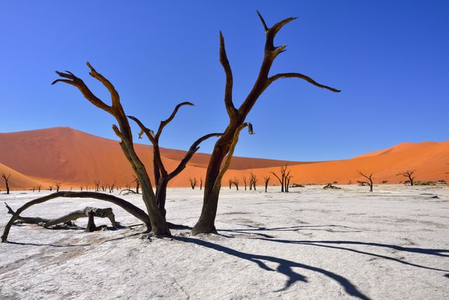 Namibie Landschap Deadvlei 374396779 SH.jpg - Jambo Safari Club