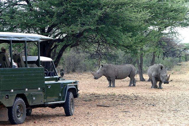 Namibie Waterberg Waterberg Valley Lodge Activiteit Rhino Drive WS.jpg - Jambo Safari Club
