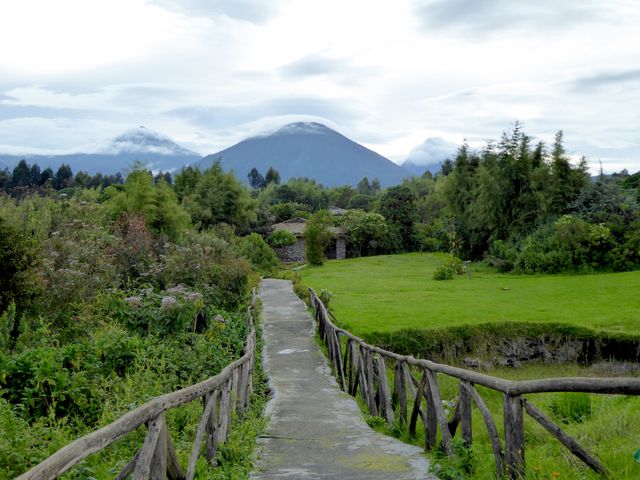Rwanda Volcanoes National Park Mountain Gorilla View Lodge tuin KS 1.jpg - Jambo Safari Club