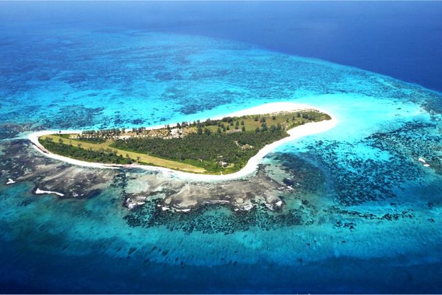 Bird Island Lodge