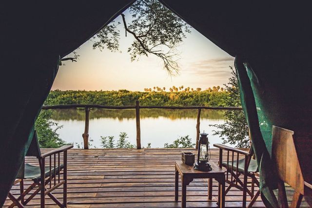 Impala Camp