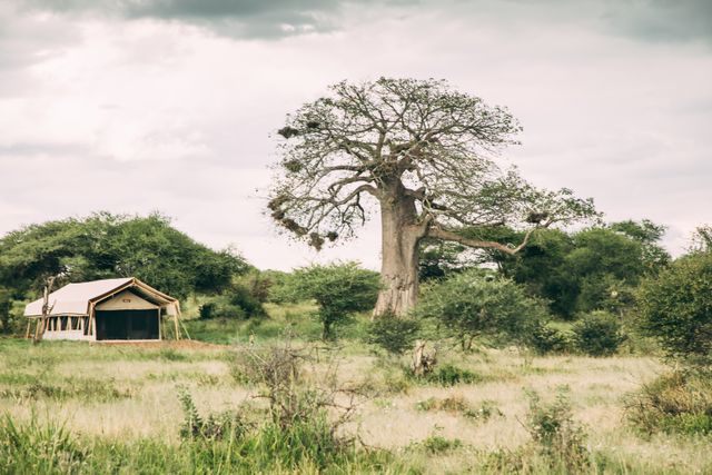 Tarangire Tortilis Camp
