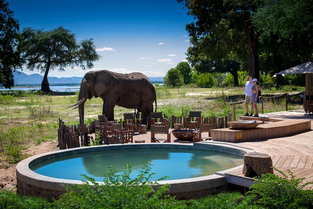 Zimbabwe Mana Pools Nyamatusi Camp zwembad ABC.jpg - Jambo Safari Club
