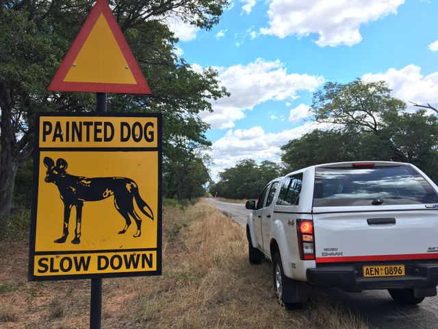 Zimbabwe Streetlife huurauto road sign wild dog KS.jpg - Jambo Safari Club