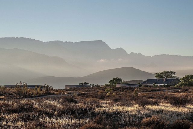Simbavati Cederberg Ridge