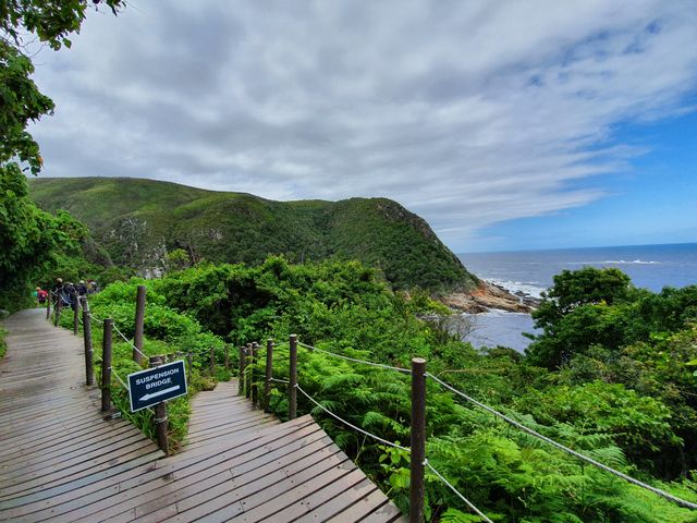 Zuid Afrika Landschap Tsitsikamma JR 6.jpg - Jambo Safari Club