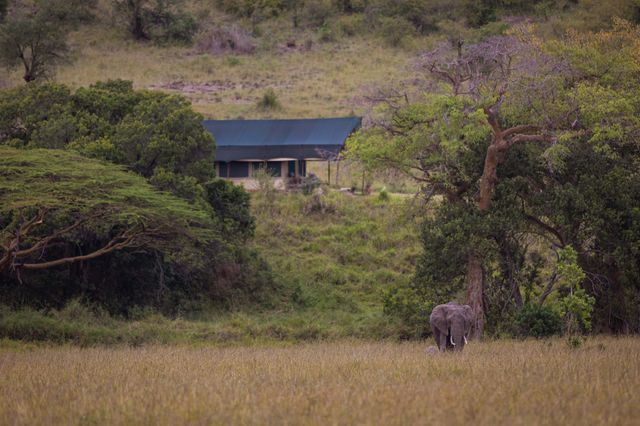 Kicheche Mara Camp