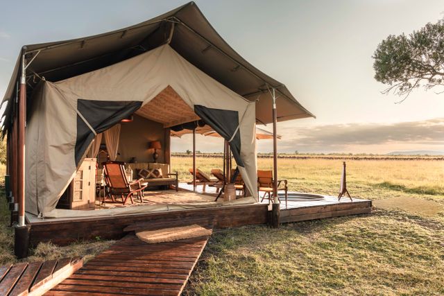 Little Elephant Pepper Camp