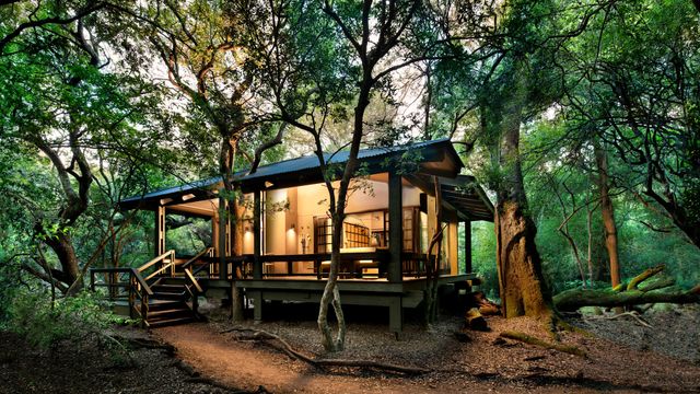 &Beyond Phinda Forest Lodge