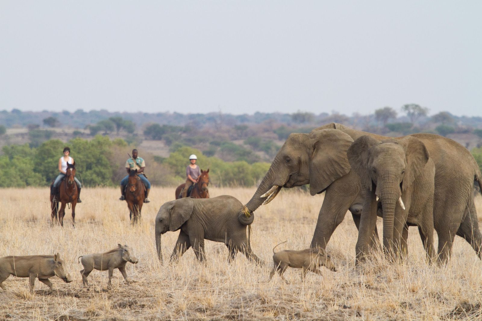 Botswana Activiteiten Tuli Block Mashatu Tented Camp Paardrijden WE 2.jpg - Jambo Safari Club