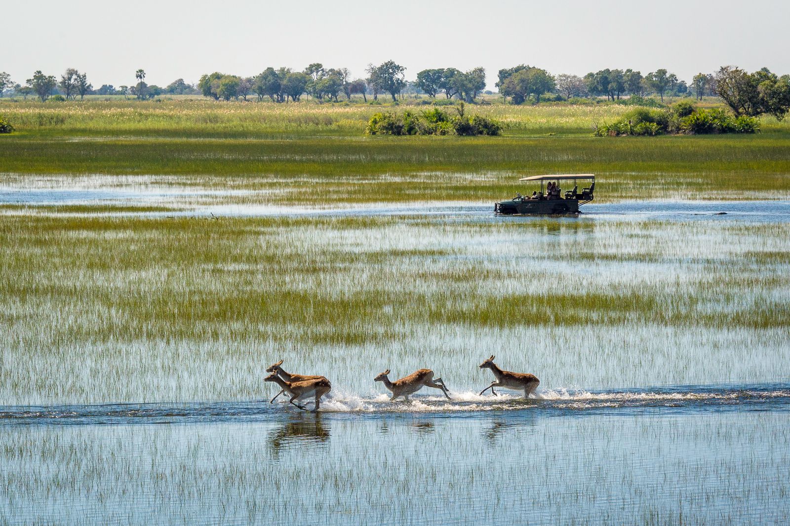 Botswana Landschap Okavango Delta flood WS.jpg - Jambo Safari Club