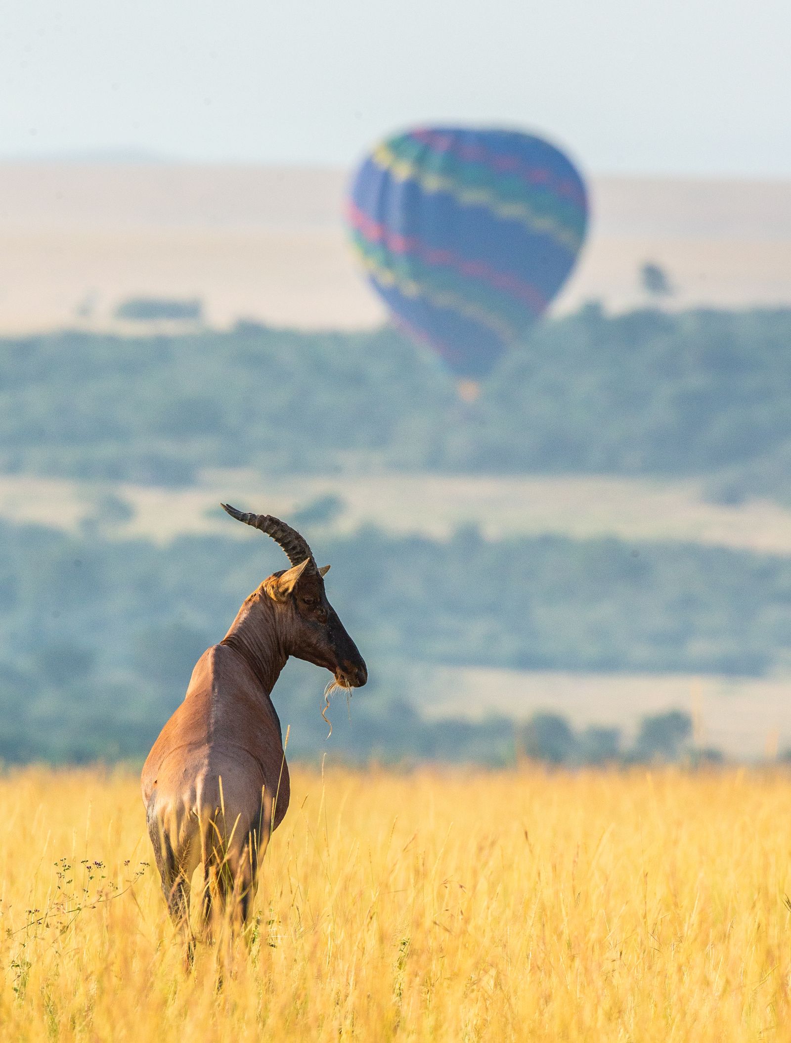 Kenia Activiteiten ballonsafari topi SH 1.jpg - Jambo Safari Club