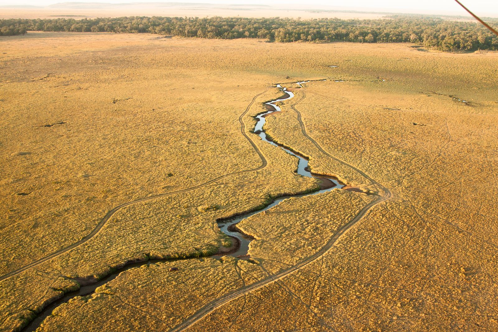Kenia Landschap Masai Mara rivier vanuit de lucht MC 1.jpg - Jambo Safari Club