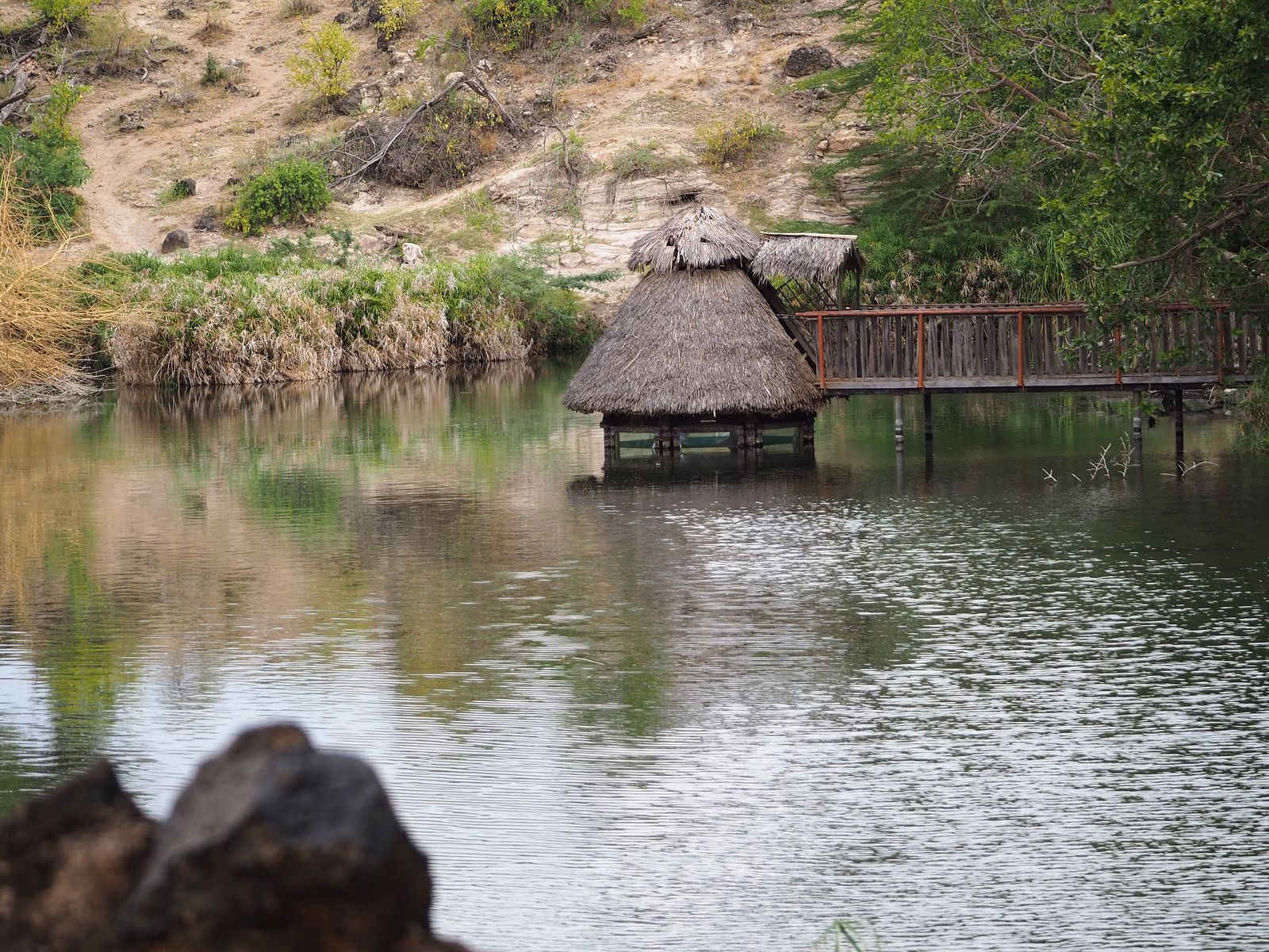 Kenia Landschap Tsavo West Mzima Springs JR.JPG - Jambo Safari Club