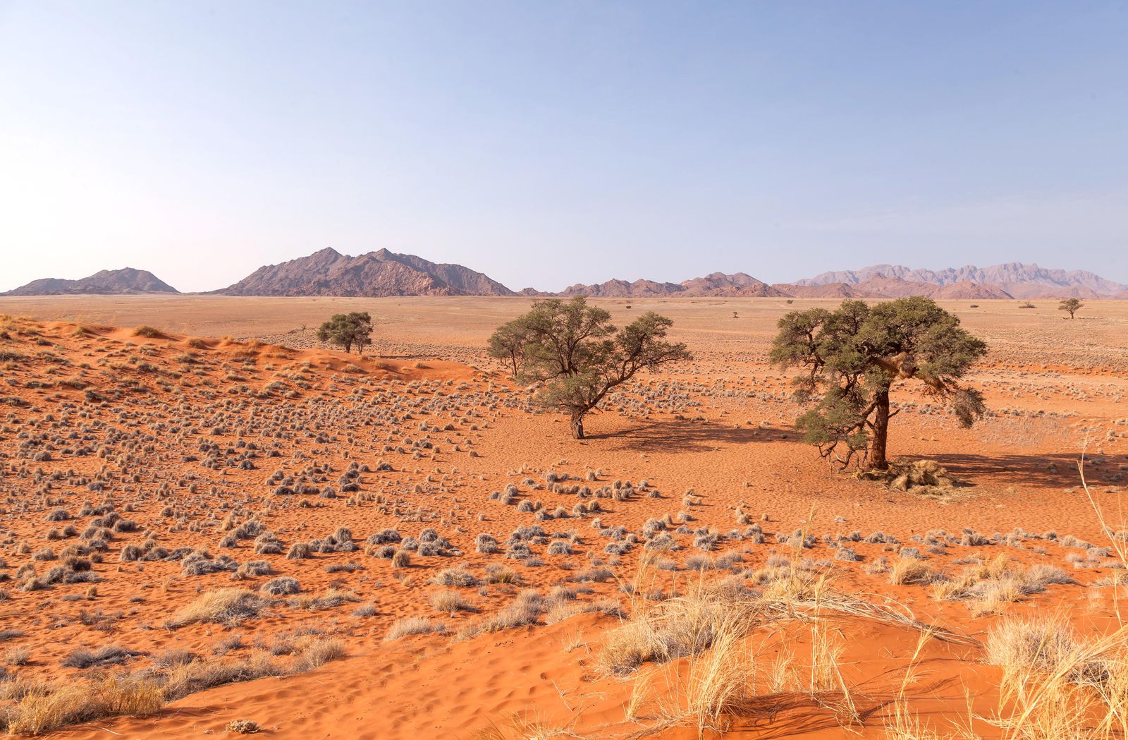 Namibie Activiteit Sossusvlei Lodge Elim Dune Nature Walk 1.jpg - Jambo Safari Club