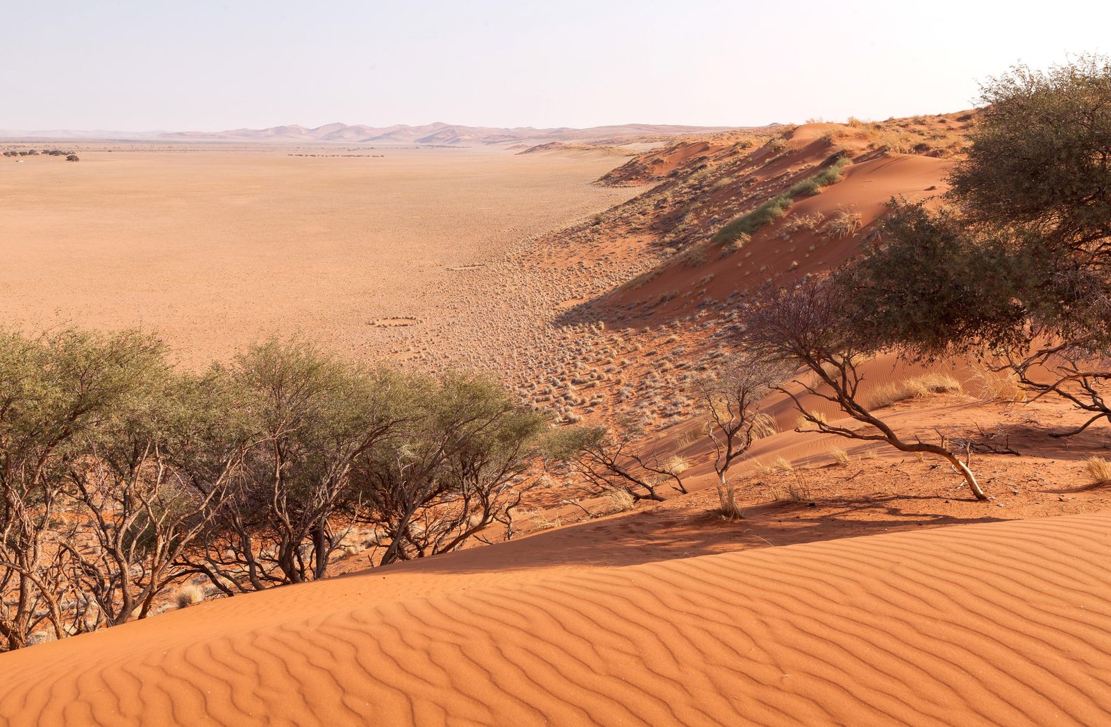Namibie Activiteit Sossusvlei Lodge Elim Dune Nature Walk 2.jpg - Jambo Safari Club