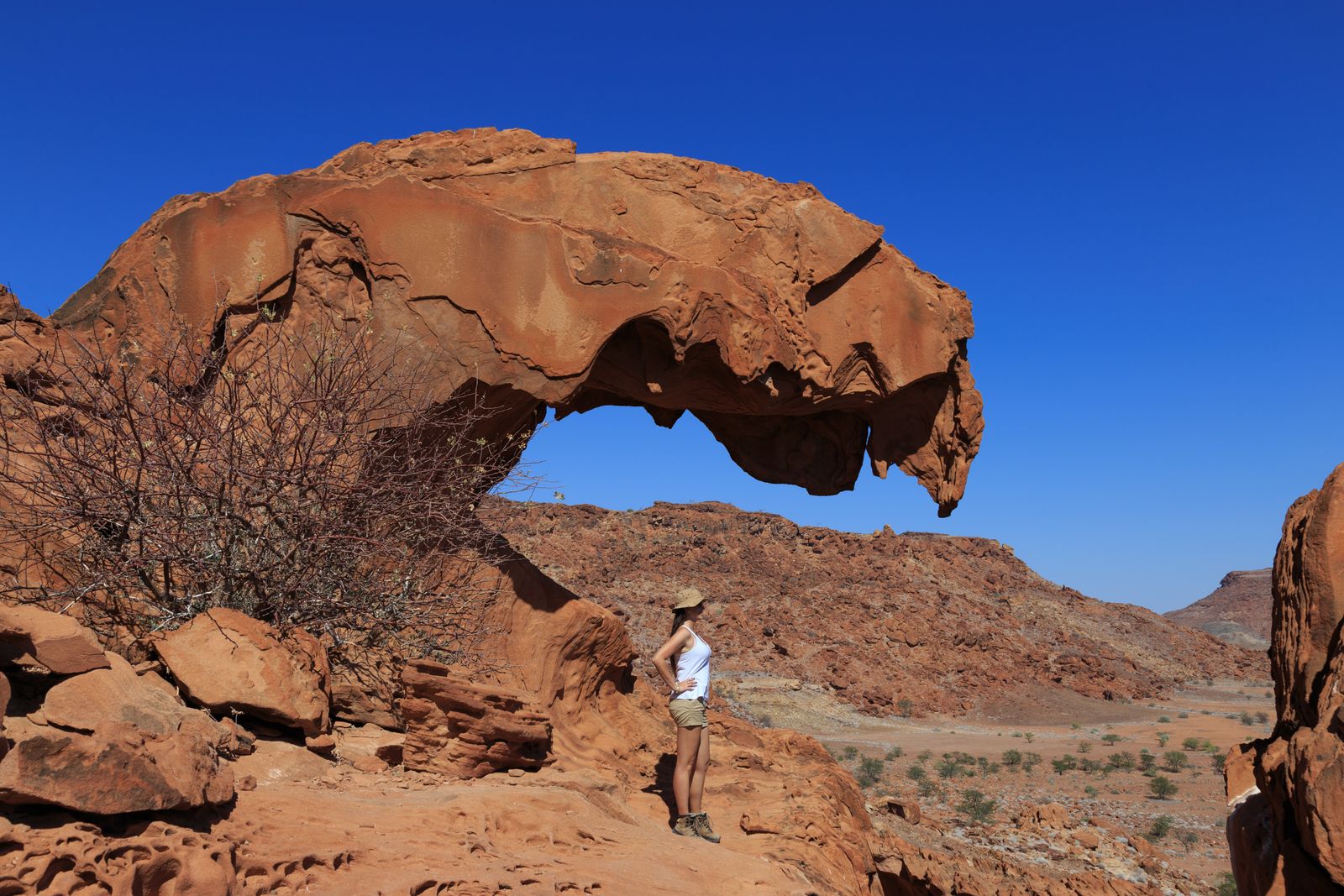 Namibie Landschap Damaraland Twyfelfontein 669785329 SH.jpg - Jambo Safari Club