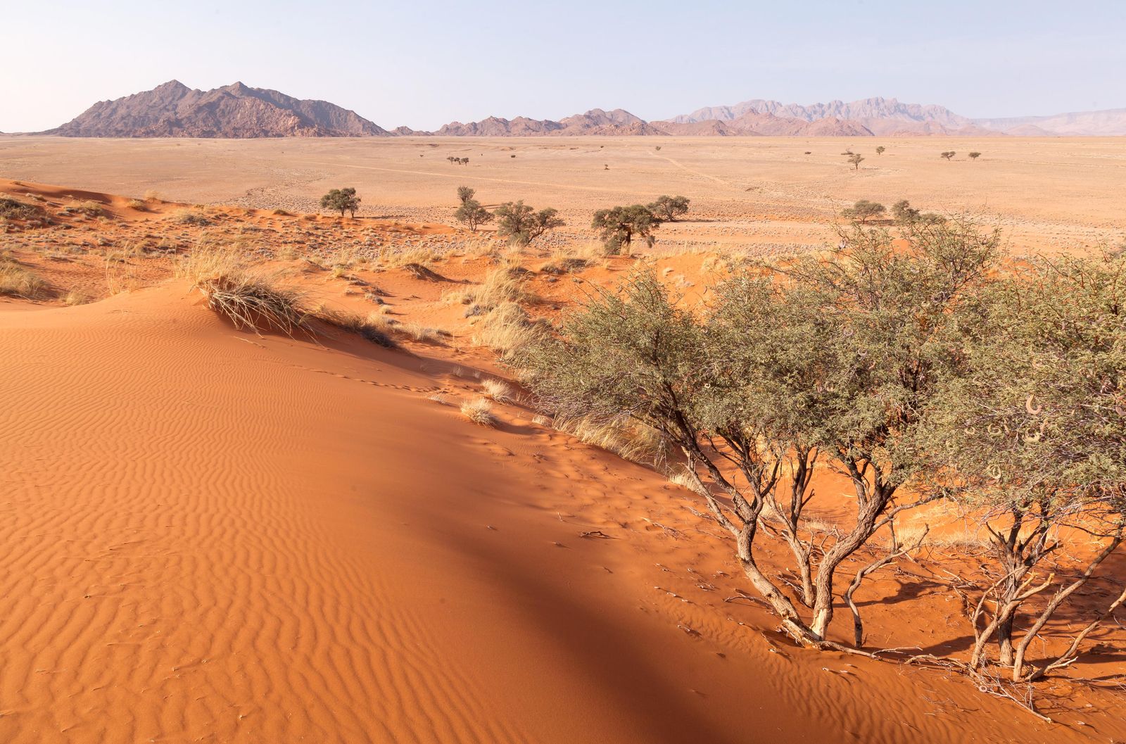 Namibie Sossusvlei Sossusvlei Lodge Activiteit Elim Dune Nature Walk WE 1.jpg - Jambo Safari Club