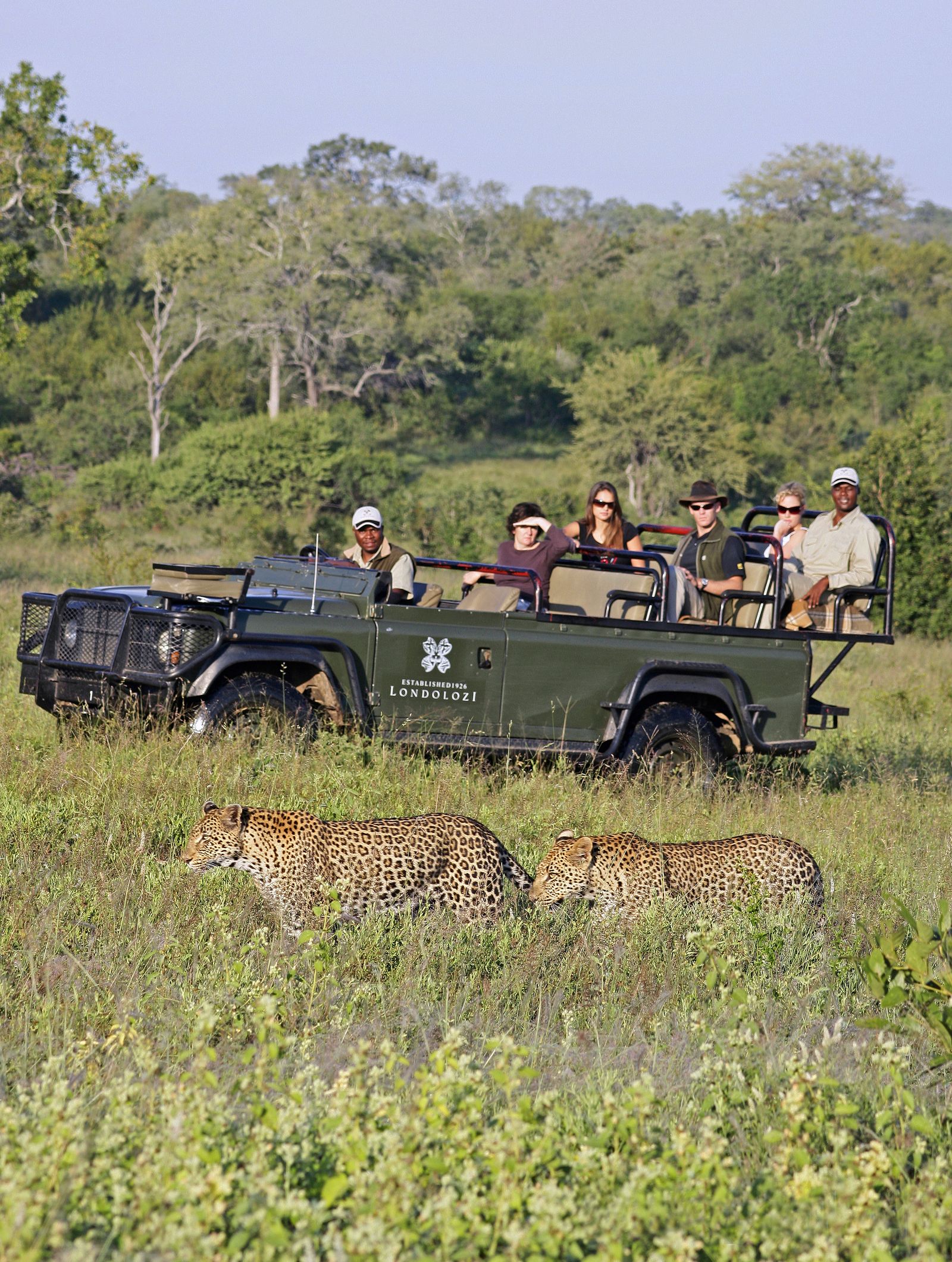 Zuid Afrika Activiteiten Gamedrive Sabi Sand Londolozi Luipaard 1.jpg - Jambo Safari Club