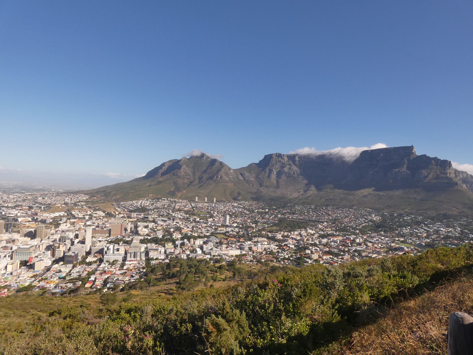 Zuid Afrika Kaapstad Uitzicht Signal Hill Tafelberg VB.JPG - Jambo Safari Club