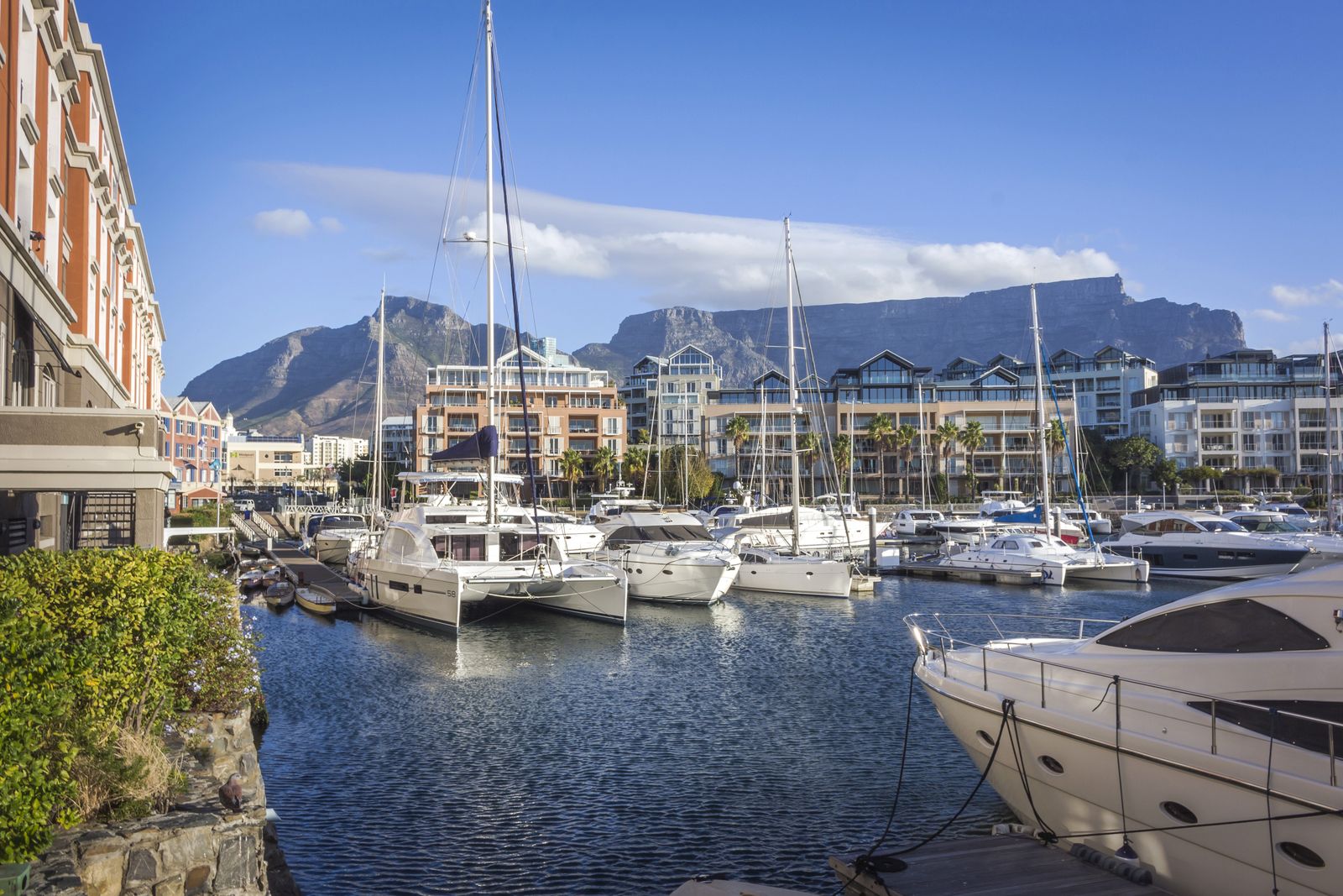Zuid Afrika Kaapstad VA Waterfront 704688205 SH.jpg - Jambo Safari Club
