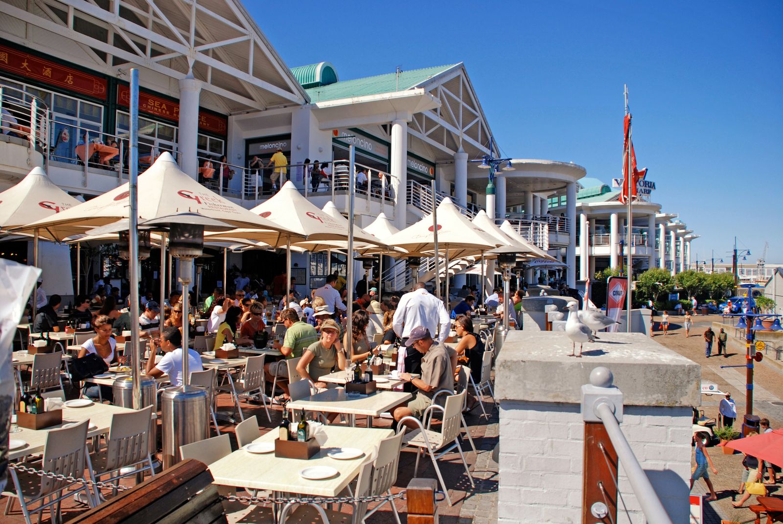 Zuid Afrika Kaapstad Waterfront Terras SH 226524418.jpg - Jambo Safari Club