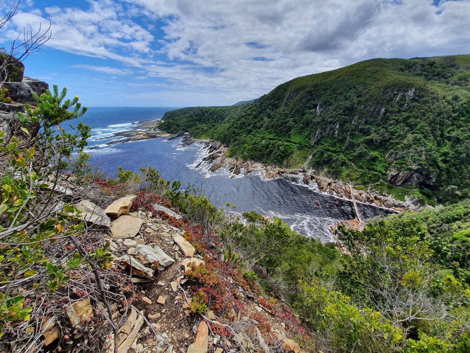 Zuid Afrika Landschap Tsitsikamma JR 2.jpg - Jambo Safari Club