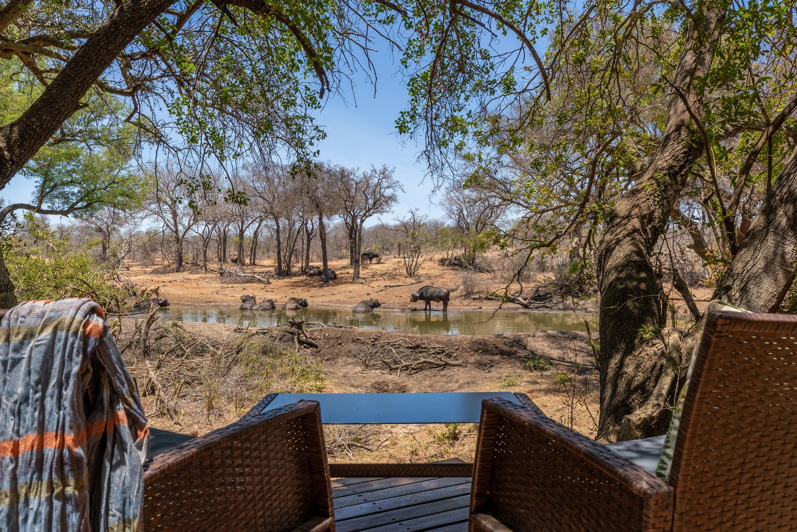 Zuid Afrika Thornybush Serondella Game Lodge Exterior Suite Terras Uitzicht WE.jpg - Jambo Safari Club