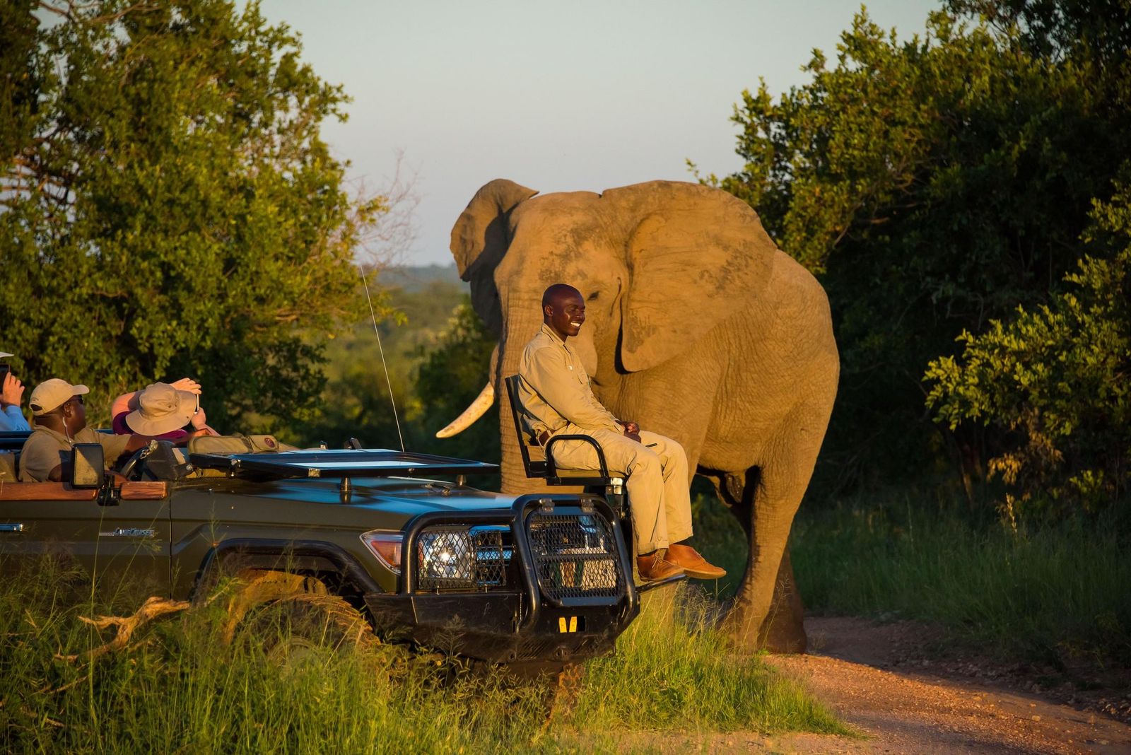 Zuid Afrika Thornybush Thornybush Waterside Lodge Activiteit Gamedrive Olifant WE.jpg - Jambo Safari Club