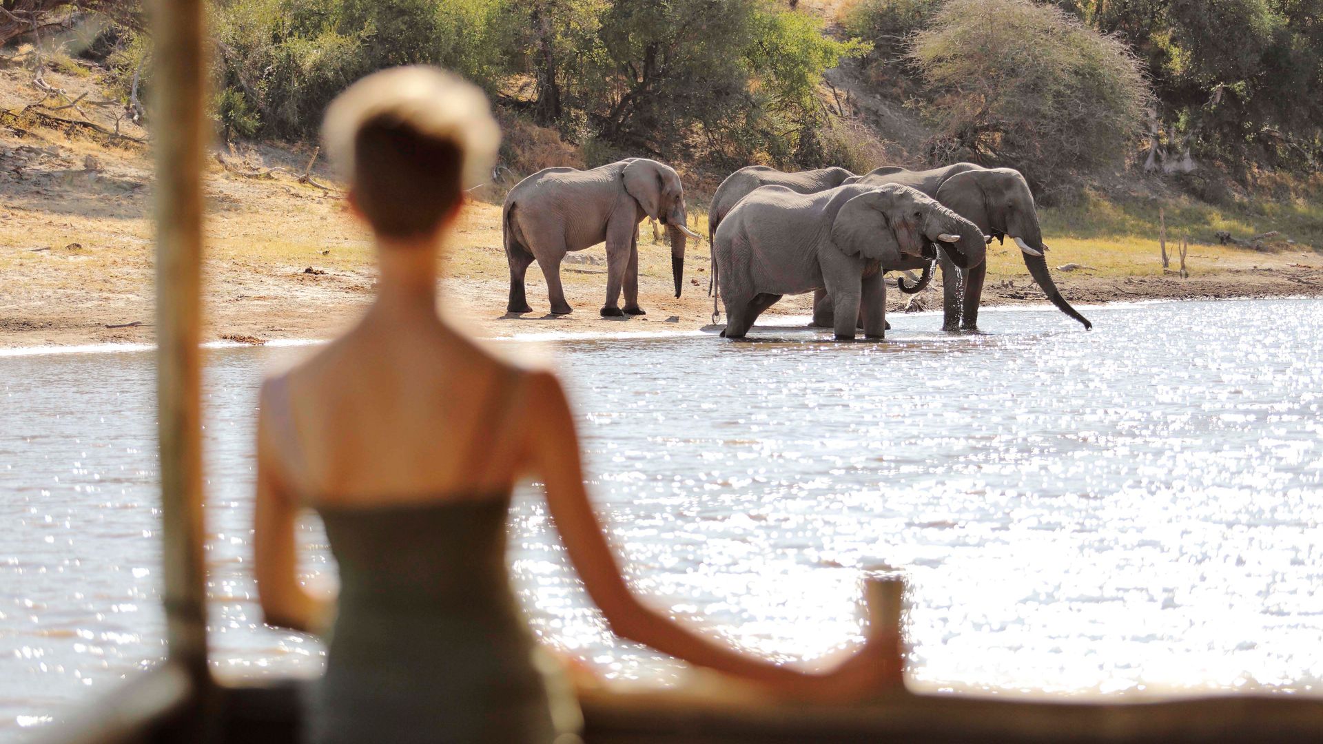 Botswana-Boteti-River-Meno-a-Kwena-Floating-hide-spiekhut-olifanten-NS.jpg