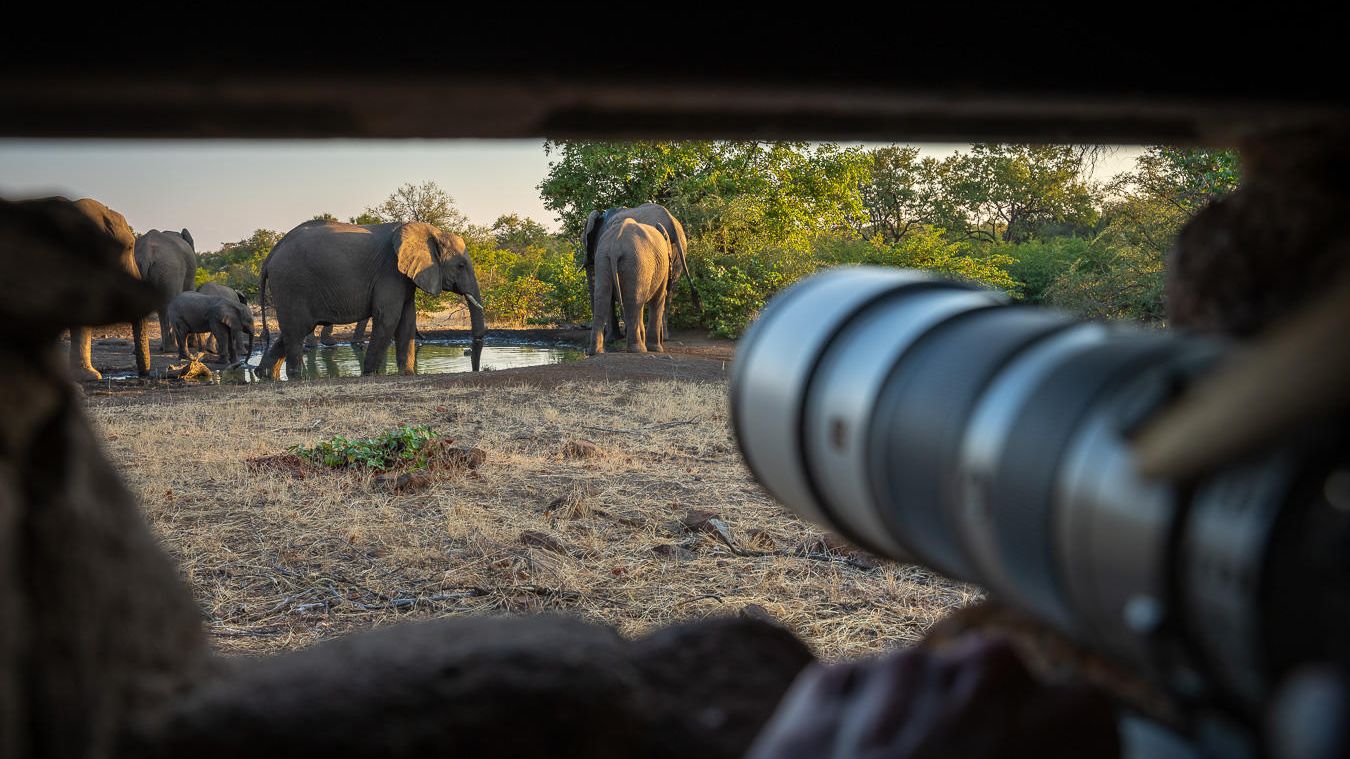 Botswana-Mashatu-Mashatu-Lodge-Activiteit-Photohide-WE (1).jpg