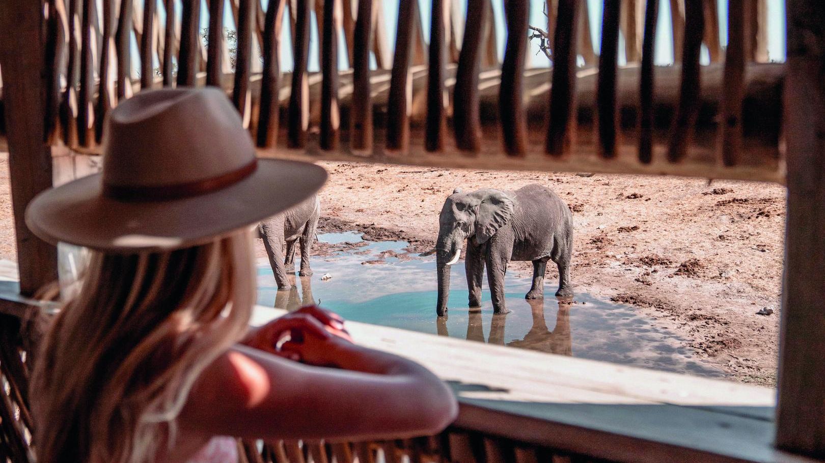 Botswana Savuti Belmond Savute Elephant Lodge hide spiekhut WE 2.jpg - Jambo Safari Club