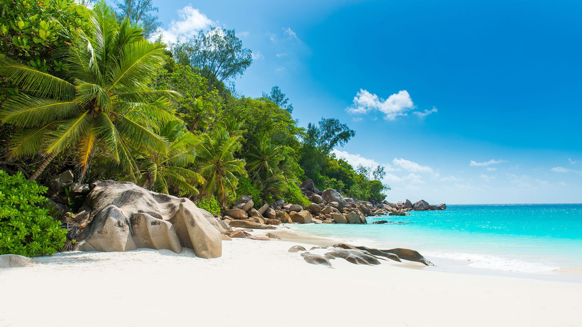 Jambo_Seychellen-1.jpg