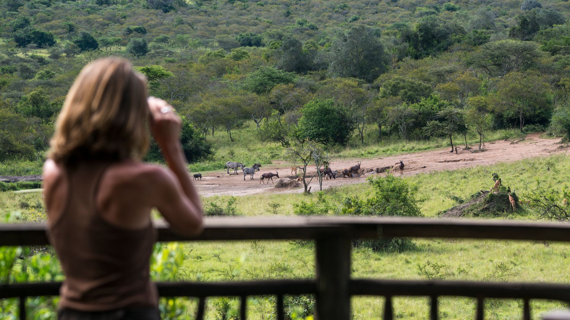 Oeganda-Lake-Mburo-Mihingo-Lodge-view-on-waterhole-ML-SamiFayed (1).jpg