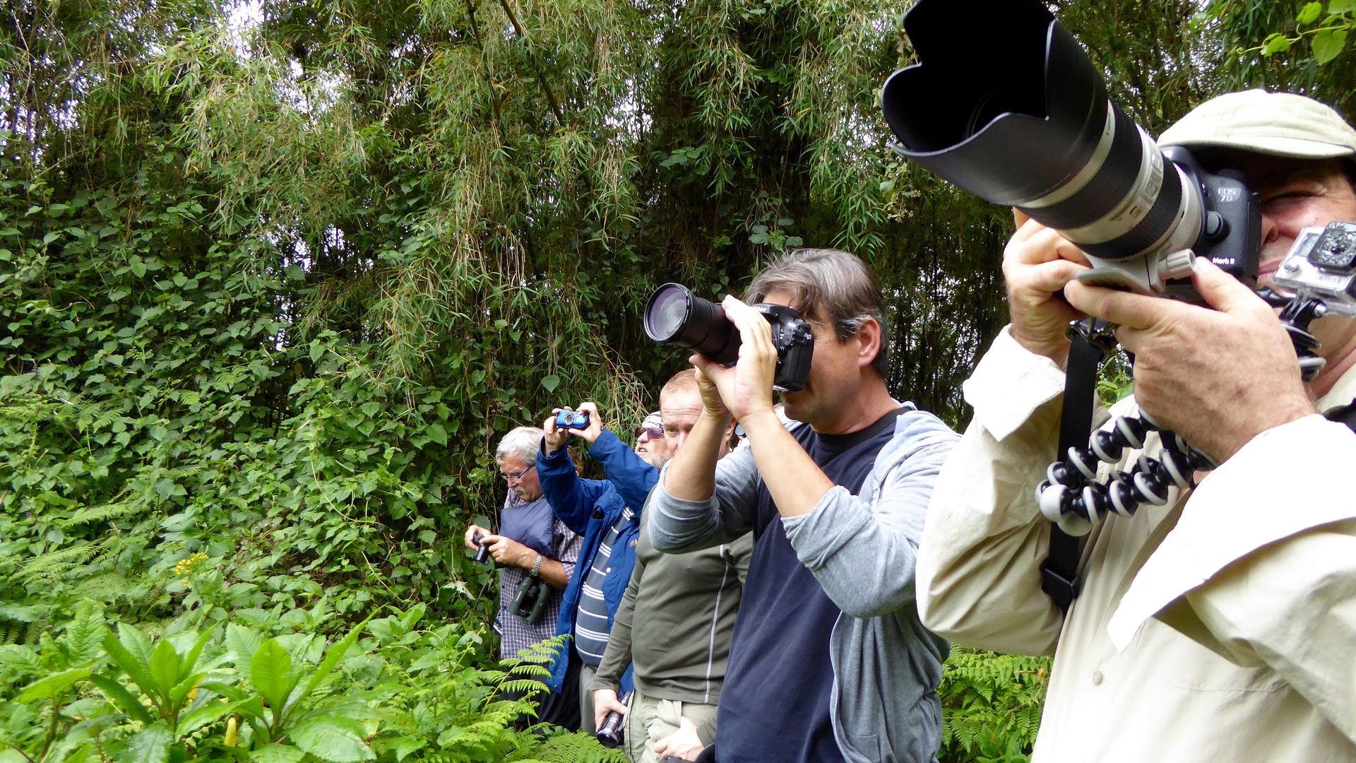 Rwanda-Activiteiten-Volcanoes-National-Park-Golden-Monkey-Tracking-KS (6).jpg