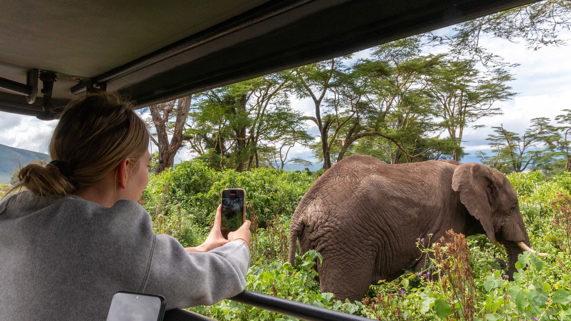 Tanzania Activiteiten Ngorongoro gamedrive olifant AZ c88526c7.jpg - Jambo Safari Club