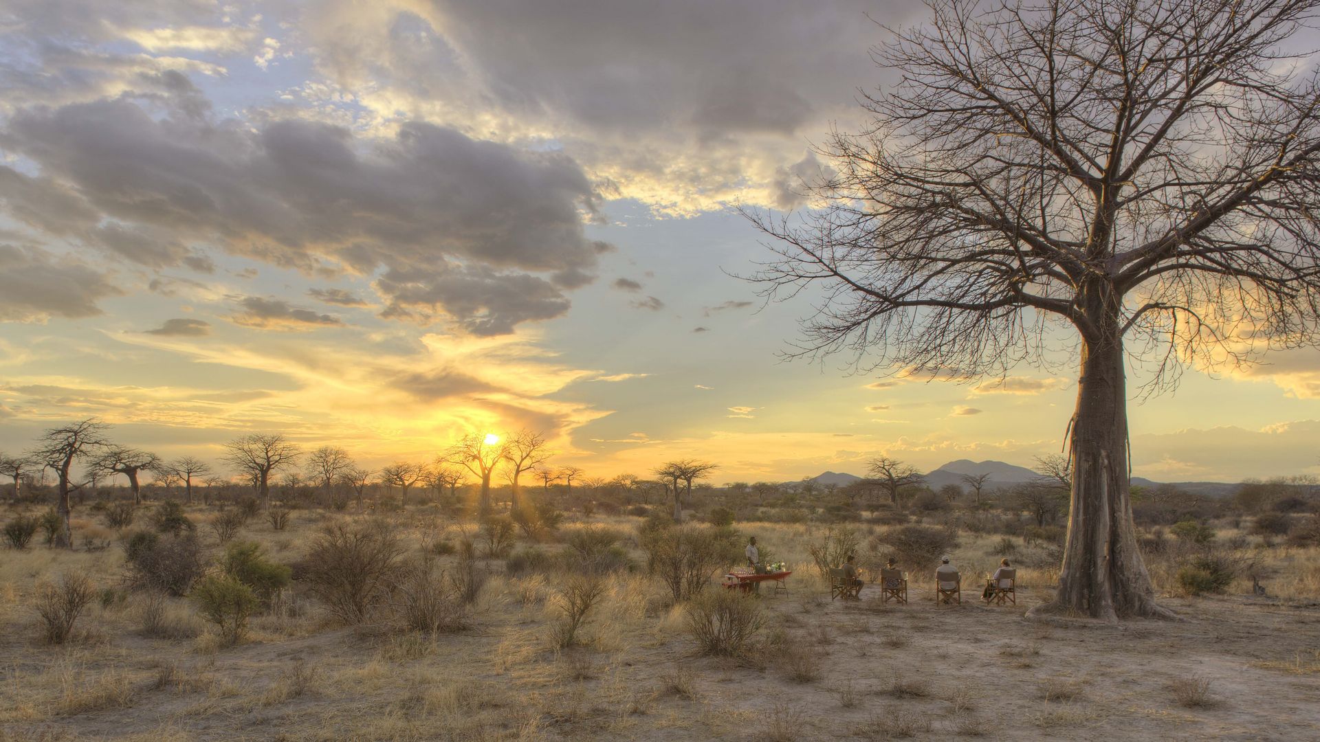 Tanzania-Landschap-Ruaha-Jabali-Ridge-Activiteiten-Sundowner-ASC.jpg