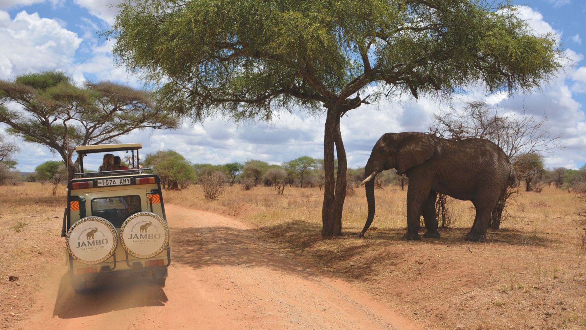 Tanzania-Wildlife-olifant-voertuig.jpg
