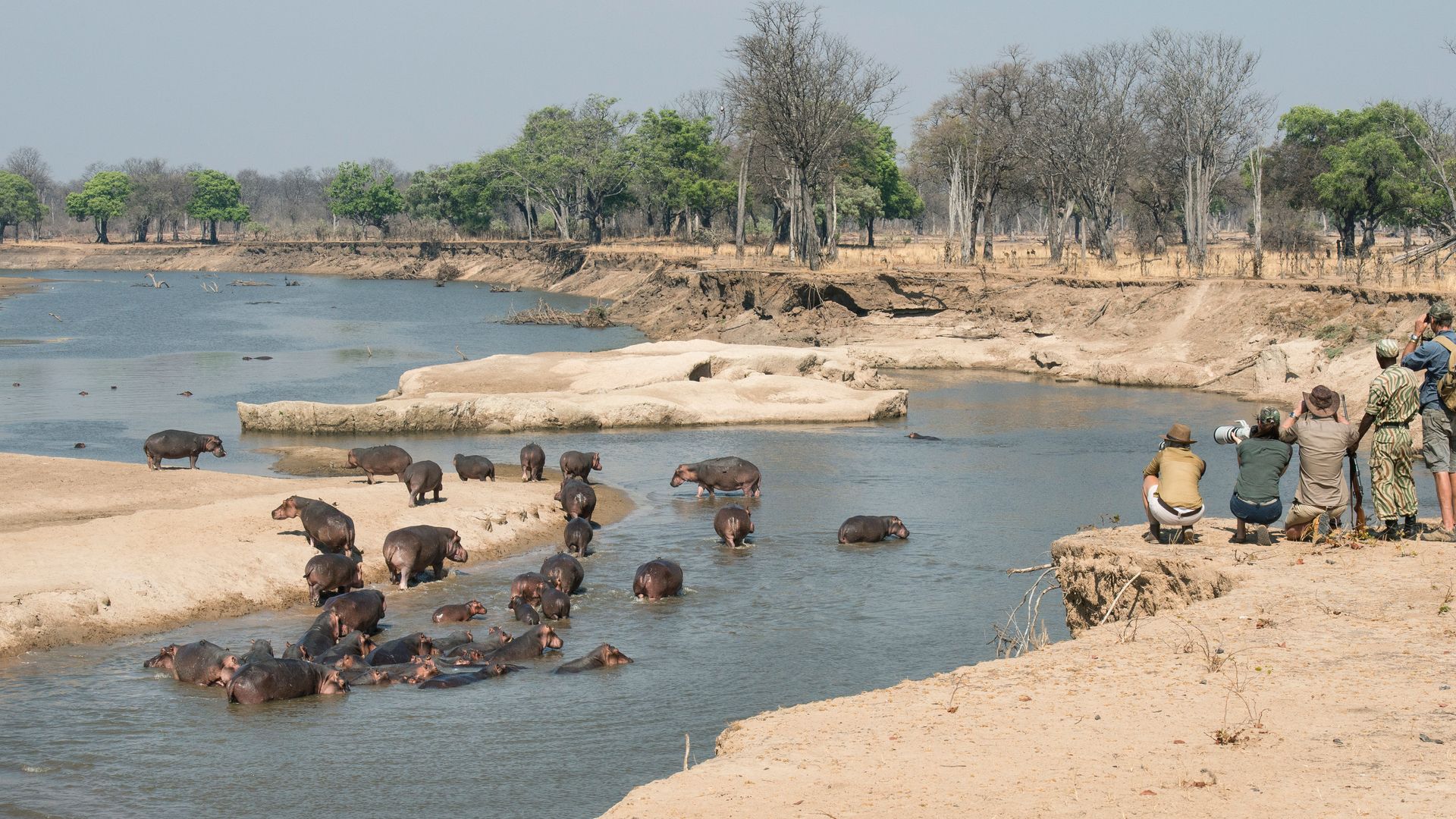 Zambia-Activiteiten-South-Luangwa-wandelsafari-nijlpaarden-panorama-SS.jpg